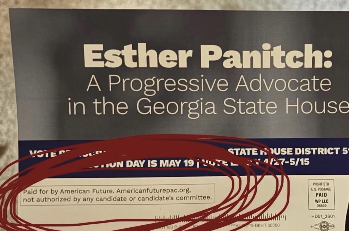 Mailer describing Esther Panitch as a progressive advocate in the Georgia State House.
